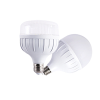 5W 10W 15W 20W 30W 40W B22 E27 T Ampoule Lampe Produits Électriques Autre Éclairage Caladium Ampoules Led Ampoule, Bombillas Led