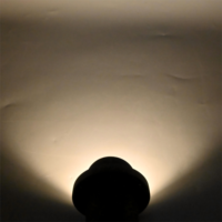 Lampe à piquet LED en aluminium IP65 étanche, support de douille GU10, spot LED 12v 110v 230v, convertisseur de douille de lampe, éclairage de jardin