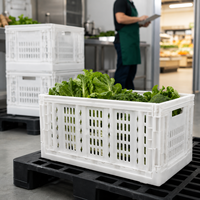 Caisse à légumes pliable en plastique durable et écologique pour supermarché, grande capacité, pour usage agricole, conteneur pliant empilable, panier de rangement