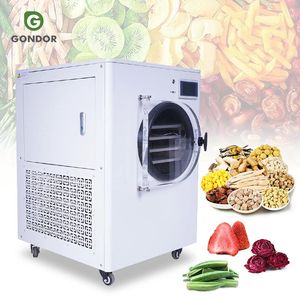 เครื่องทำแห้งเยือกแข็งแบบสุญญากาศอเนกประสงค์ขนาดเล็ก 12 กก. 20 กก. สำหรับกาแฟผงและอาหารสัตว์เลี้ยง - Product Image 1