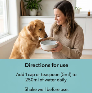 Additif buccal naturel OEM pour chiens, formule dentaire pour garder les dents propres et rafraîchir l'haleine des chiens, pour la santé bucco-dentaire des chiens - Product Image 4