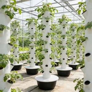 Nuevo Sistema de Torre Hidropónica de Última Generación, Torre de Cultivo Vertical sin Suelo, Equipo Hidropónico Inteligente Americano - Product Image 2