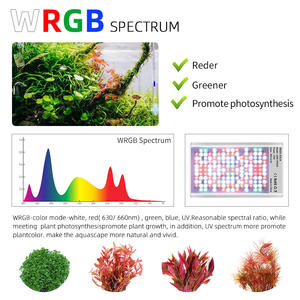 Lampe LED pour aquarium à spectre complet, éclairage réglable, <span class=keywords><strong>plante</strong></span> aquatique, herbe, lampe LED pour aquarium - Product Image 3