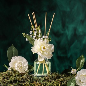 Heshes <b>Reed</b> <b>Diffuser</b> 120ml Glass Aromatic Home Fragrance Decor All Season Use - Product Image 2