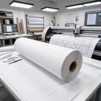 Papier pour traceur blanc écologique pour l'industrie du vêtement et l'impression