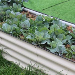 Metal Garden Planting Box Rust Resistant Outdoor <b>Vegetable</b> <b>Planter</b> Ivory White Galvanized Sheet Garden Use - Product Image 1