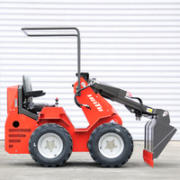 Minicargadora de Ruedas de 500 kg, 1 Tonelada, Euro 5, Estándar CE EPA, Cargadora Compacta con Dirección Deslizante para Jardín, Granja y Construcción, Venta de Proveedor Chino