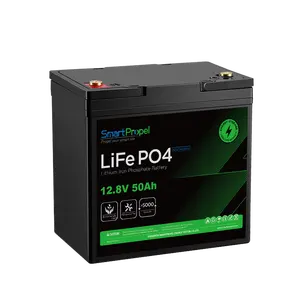 12 v 100 ah lifepo4 batterie bluetooth 100 a bms 12 v 50 ah 100 ah 150 ah lithium-ionen-batterie für elektrofahrrad motorräder