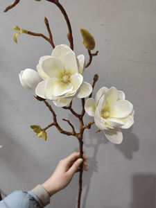 Flores Artificiales de Magnolia de Alta Calidad, Tallos de Magnolia Blancos de <span class=keywords><strong>EVA</strong></span>, Arreglo Floral para Centro de Mesa, Decoración Interior del Hogar - Product Image 2