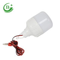 Nouvelle ampoule LED 13W 12V DC à pince de fixation, économique, pour marché nocturne