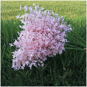 Usine décor de mariage suspendus fleur en plastique <span class=keywords><strong>Oncidium</strong></span> tiges artificielle danse <span class=keywords><strong>orchidée</strong></span> <span class=keywords><strong>Oncidium</strong></span> fleur - Product Image 6