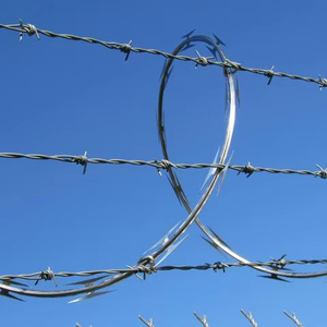 Hot Sales <strong>Discount</strong> 2.5*2.2 Mm*200 m Galvanized Twist <strong>Barbed</strong> <strong>Wire</strong> <strong>for</strong> Farm Fence Vegetable Garden Residential <strong>Barbed</strong> <strong>Wire</strong> - Product Image 3
