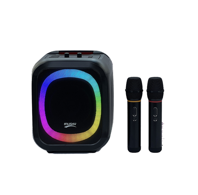Portable Wireless Party Speakers DY29Z Bluetooth Loudspeaker Mini Karaoke Speaker Stereo Subwoofer Bluetooth With Mic