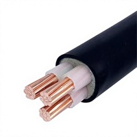 Cu/XLPE/PVC 4mm² 2-adriges unarmiertes N2xy Kupfer-Stromkabel U-1000 R2V Kabel