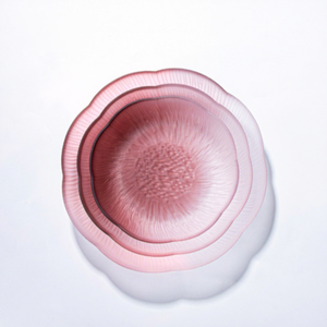 Venta Directa de Fábrica: Platos de Vidrio Ombre Azul Esmerilado Translúcido con Borde Ondulado para Ensaladas, Ideales para Recepciones de Boda - Product Image 5