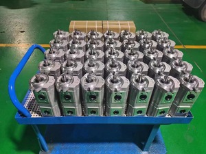 Pompes hydrauliques à engrenages en aluminium pour machines de moulage par injection à usage automobile ou <span class=keywords><strong>naval</strong></span> Equipement - Product Image 6
