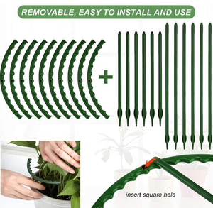 Plant <strong>Support</strong> Garden <strong>Flower</strong> <strong>Support</strong> Stake Half Round Ring Plastic Plant Cage Holder <strong>Flower</strong> Climbing Trellis Plant Vegetable - Product Image 4