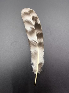 ขน<span class=keywords><strong>ไก่</strong></span>ชินชิลล่าธรรมชาติขนาด 15-20 ซม. ขน<span class=keywords><strong>ปีก</strong></span><span class=keywords><strong>ไก่</strong></span>สำหรับงาน DIY การแสดง ตกแต่ง ขายส่ง - Product Image 5