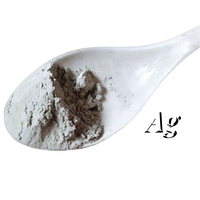 Poudre d'argent nano sphérique superfine 100-500nm poudre de nanoparticules d'argent de matériaux électroniques pour pâte d'argent conductrice