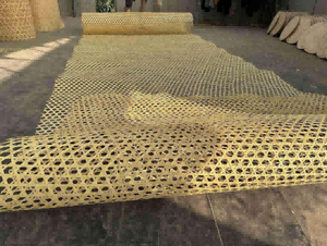 Produits de la noix de coco : noix de coco fraîche, noix de coco en grains, noix de coco en morceaux, noix de coco en vrac - Product Image 4