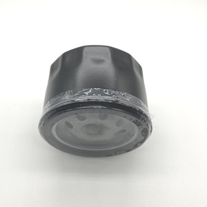 מסנן שמן באיכות גבוהה עבור בריגס סטרטון 492932 492532 492056 4049 4049h 4154 דלק מסנן - Product Image 4