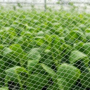 Sıcak satış dayanıklı HDPE anti-dolu kuş Net siyah Hail koruma ağları bahçe meyve bağ plastik <span class=keywords><strong>PE</strong></span> Hail Net - Product Image 2