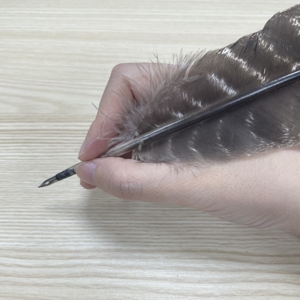 Stylo <span class=keywords><strong>plume</strong></span> de trempage classique à l'ancienne, pour calligraphie européenne, <span class=keywords><strong>plume</strong></span> de dinde grise - Product Image 6
