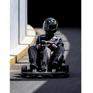 W Pro 2 Amusement Park Racing Track Rental 43Km/h Speed - Product Image 3