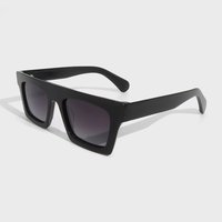Lunettes de soleil tendance Gafas, lunettes rétro carrées, lunettes de soleil en acétate de luxe, lunettes de soleil vintage à double pont, lunettes de soleil polarisées irrégulières pour femmes
