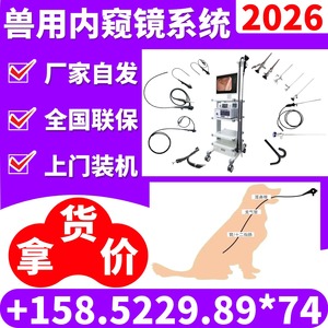 Sistema de Endoscopia Veterinaria para Examen y Tratamiento de Nariz, Oído, Tráquea, Vejiga Urinaria y Riñón, Enchufe Eléctrico, Certificado CE - Product Image 5
