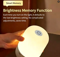 Lampe de chevet LED transfrontalière à trois couleurs, intensité réglable, rechargeable, tactile, pour chambre à coucher, veilleuse d'ambiance