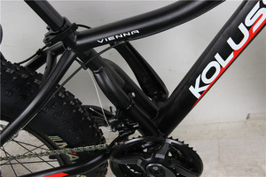 Bicicleta de Montaña de 20 Pulgadas con Portaequipajes Trasero Integrado, Neumáticos Anchos, Cuadro de Acero al Carbono, Horquilla con Resorte, Frenos de Disco Dobles, Capacidad de Carga de 150 kg - Product Image 2