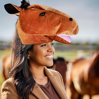 Masque de cheval marron 2026 Année du Cheval, accessoire de performance amusant, coiffe décorative, chapeau comique, fabriqué en Chine