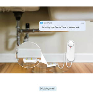 Détecteur de fuite d'eau WiFi TY-WI-3 90DB, double capteur de niveau d'eau, surveillance à distance via l'application Smart Life, alerte d'inondation, sécurité contre les débordements - Product Image 3
