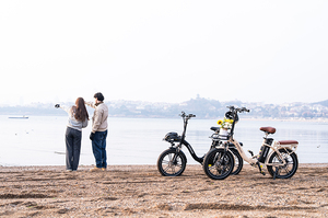 <span class=keywords><strong>Vélo</strong></span> électrique à pneus larges KOOLUX X16 <span class=keywords><strong>20</strong></span> <span class=keywords><strong>pouces</strong></span> avec batterie au lithium 48V 15.6Ah, moteur 250W, 7 vitesses, pliable pour les trajets hors route - Product Image 5