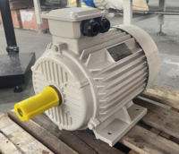 YE2-112M-2 personnalisé 4kw 5HP 2980rpm asynchrone triphasé moteur à induction électrique AC