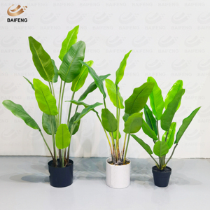 Décoration d'Intérieur Personnalisée en Usine Bananier Artificiel en Pot Faux Arbre <span class=keywords><strong>Canna</strong></span> <span class=keywords><strong>Plante</strong></span> Artificielle en Gros - Product Image 6
