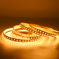 Lampu Strip LED Putih Hangat 132LED/Meter IP20 SMD 3014 untuk Ruang Tamu Kamar Tidur