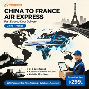 Chine vers France, Colis Aérien, Colis Maritime, DDP avec Dédouanement Double, Livraison Porte-à-Porte - Product Image 2