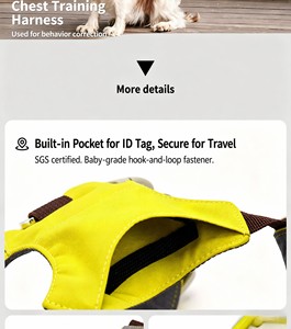 Ensemble de <span class=keywords><strong>harnais</strong></span> pour <span class=keywords><strong>chien</strong></span> respirant, léger et imperméable, avec laisse, collier et sac de ramassage, 4 pièces, kit de promenade réfléchissant pour la vente en gros - Product Image 4