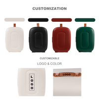 Mini-réfrigérateur thermoélectrique portable de luxe, blanc, 5 litres, 6 canettes, 12V/220V, pour boissons