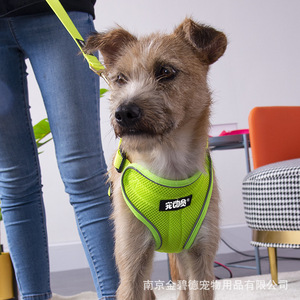 Harnais pour animaux de compagnie, gilet en maille réfléchissante vert fluorescent, sangle de poitrine pour chiens de petite à moyenne taille - Product Image 4