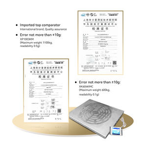 Poids d'étalonnage de haute qualité Poids en fonte M1 M2 10kg 20kg pour balances Poids de test - Product Image 5