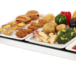 Schott kính được xây dựng trong dây điều khiển điện tấm nóng thương mại nóng lên khay - Product Image 1