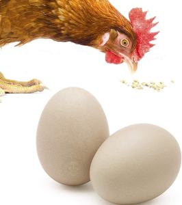 Los huevos de <span class=keywords><strong>gallina</strong></span> alientan la puesta de huevos y desalientan el picoteo y el comer, ideal para la prueba de broodiness, huevos de <span class=keywords><strong>gallina</strong></span> ficticios de madera - Product Image 2