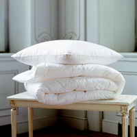Oreiller en duvet de canard à 3 compartiments avec soutien cervical, option logo personnalisé, design rectangulaire moderne, housse en coton, vente en gros