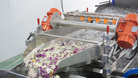 Fengxiang merk 304 roestvrijstalen verse salade verwerkingslijn 5000kg/u automatische groente- en fruitwas- en schilmachine