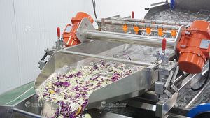 Línea Completa de Procesamiento de Vegetales Frescos, Suministro de Fábrica, Línea de Producción Comercial de Vegetales Limpios, Equipos para Producción de Ensaladas - Product Image 5