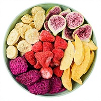SAIYANG Groothandel Gedroogd Fruit Snacks 100% Natuurlijk Aardbei Kiwi Mango Jackfruit Vijg Bulk Gedroogd Gemengd Fruit