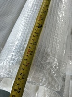 Fournisseur d'usine, bâche en plastique transparente ignifuge et coupe-vent pour échafaudage, 20 x 100 pieds, 6 mil, renforcée par des cordes, polyéthylène